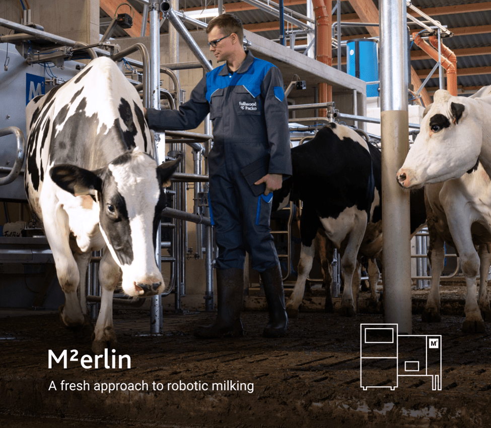 robot-M²erlin-merlin-sano
