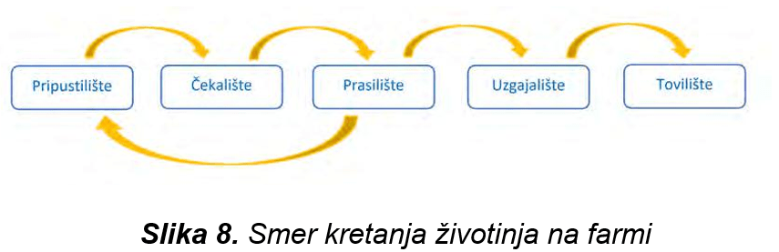 biosigurnost-sano-smer-kretanja-životinja