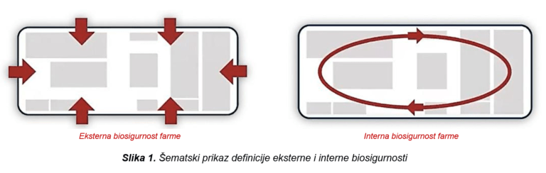 Šematski-prikaz-definicije-eksterne-i-interne-biosigurnosti