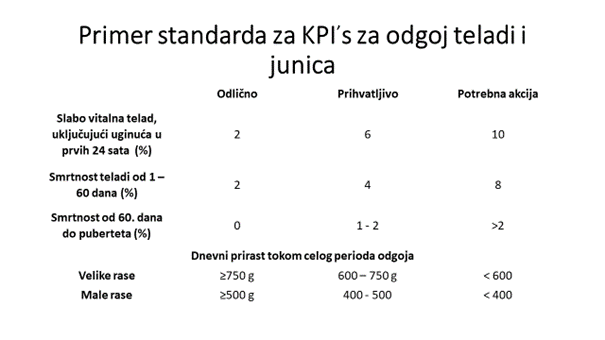primer-standarda-za-kpi-za-odgoj-teladi-i-junica