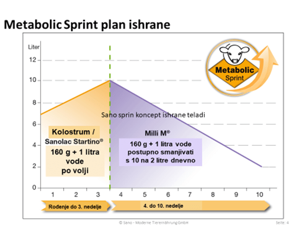 odgoj-teladi-sano-metabolic-sprint-plan-ishrane
