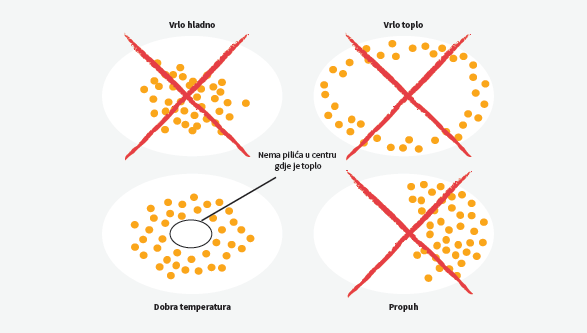 tov-brojlera-Uobičajeno-ponašanje-pilića-prema-temperaturi