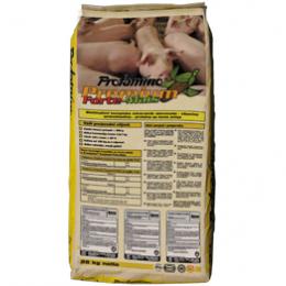 protamino-premium-forte-mais-25kg-sano