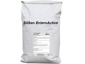 susan-enteroactive-sano