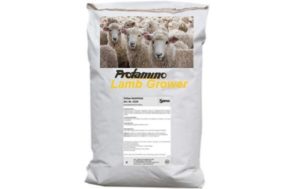 protamino-lamb-grower