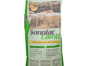 sanolac-lamb-25-kg-sano