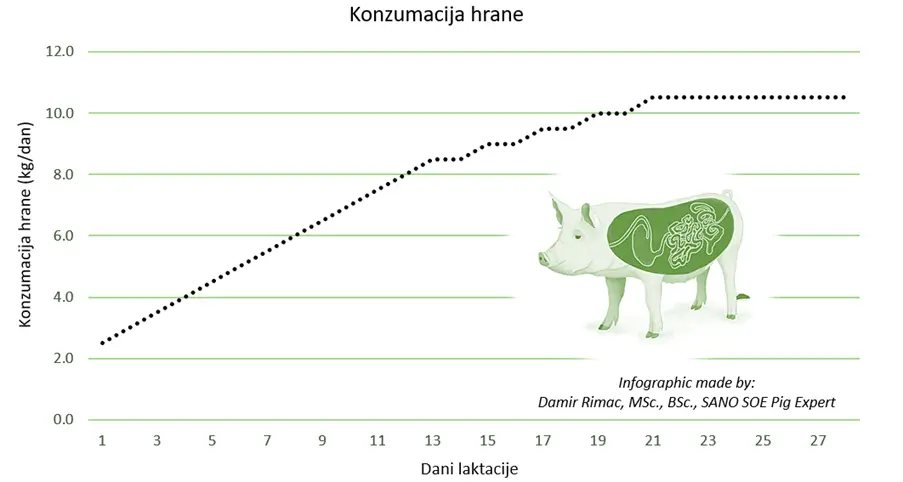 sano konzumiranje hrane tokom laktacije